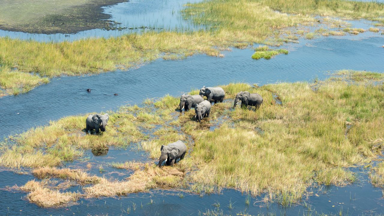 Botswana Landschap Okavango Delta Belmond Eagle Island Lodge BM.jpg - Jambo Safari Club