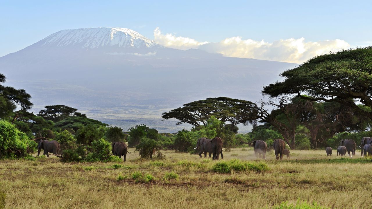 Kenia Landschap Wildlife Amboseli Kilimanjaro olifanten SH 1.jpg - Jambo Safari Club