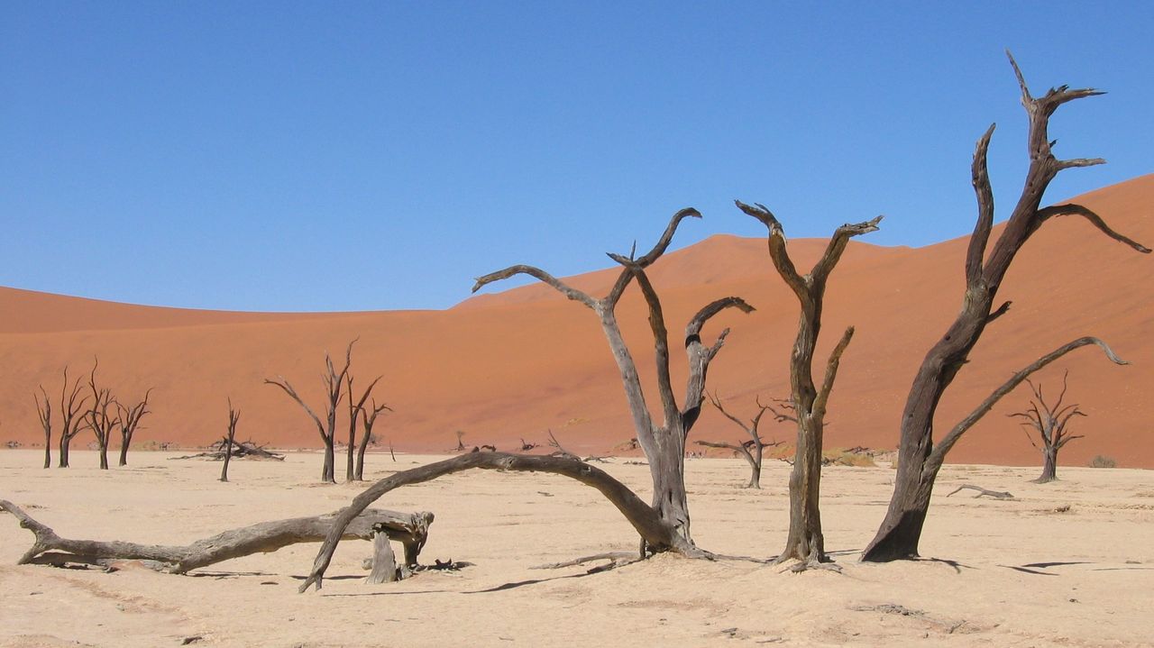 Namibie Landschap overgang Deadvlei Sossusvlei 1.jpg - Jambo Safari Club