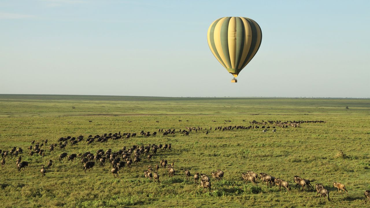 Tanzania Activiteiten Ndutu ballonsafari MC 16.JPG - Jambo Safari Club