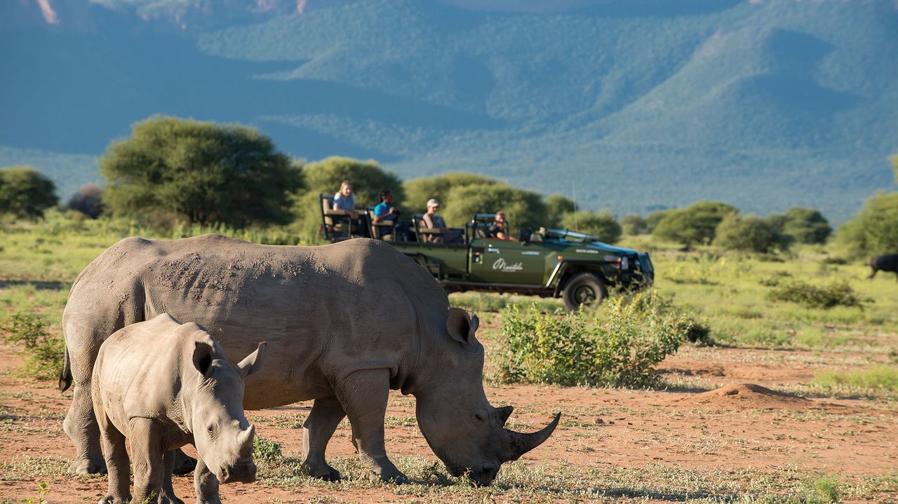 Zuid Afrika Activiteiten Gamedrive Neushoorn 1.jpg - Jambo Safari Club