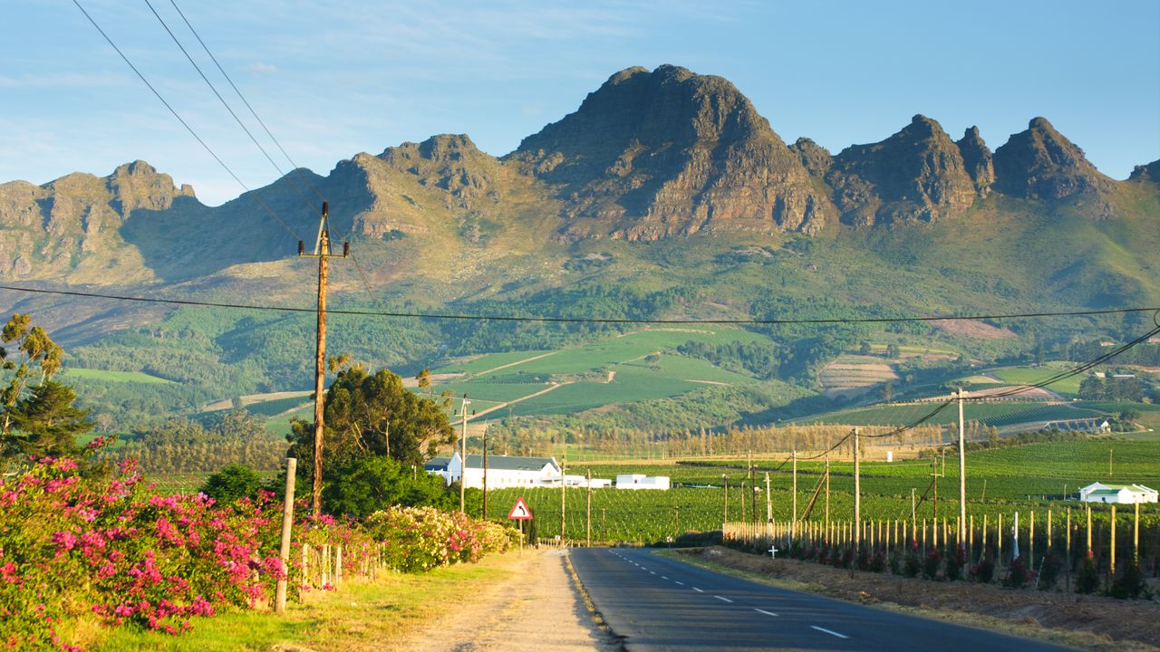Zuid Afrika Landschap Winelands SH 135513203.jpg - Jambo Safari Club