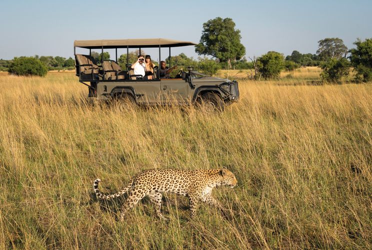 Botswana Activiteiten gamedrive voertuig met luipaard WS.jpg - Jambo Safari Club