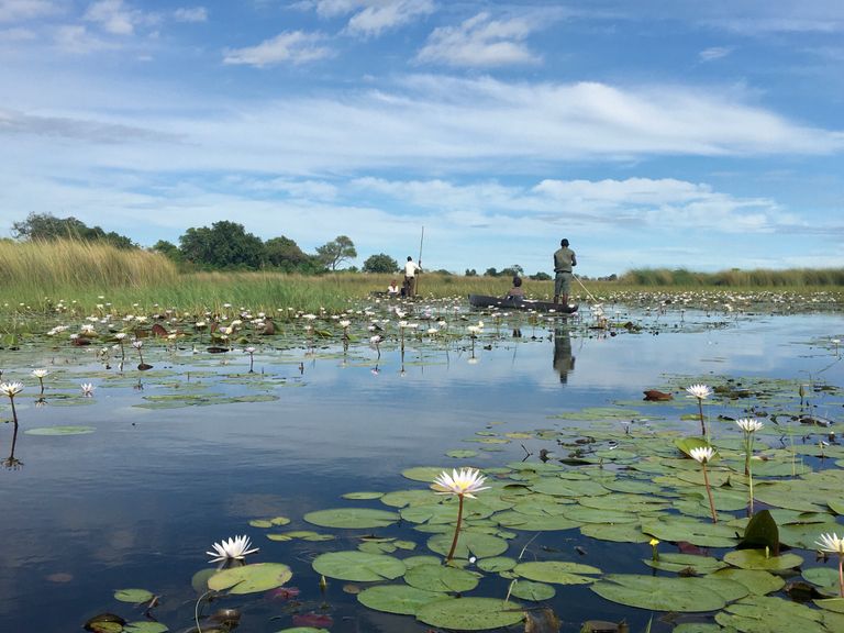 Botswana Activiteiten Okavango Delta mokoro KS 1.JPG - Jambo Safari Club