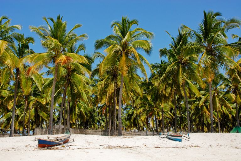 Mozambique Landschap Pangane Strand 125604161 SH.jpg - Jambo Safari Club