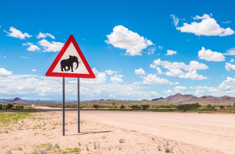 Namibie Landschap Damaraland Gravelroad Roadsign 1172098168 SH.jpg - Jambo Safari Club
