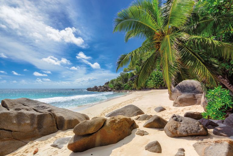 Seychellen Landschap 1.jpg - Jambo Safari Club