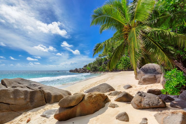 Seychellen Landschap SH 430921981.jpg - Jambo Safari Club