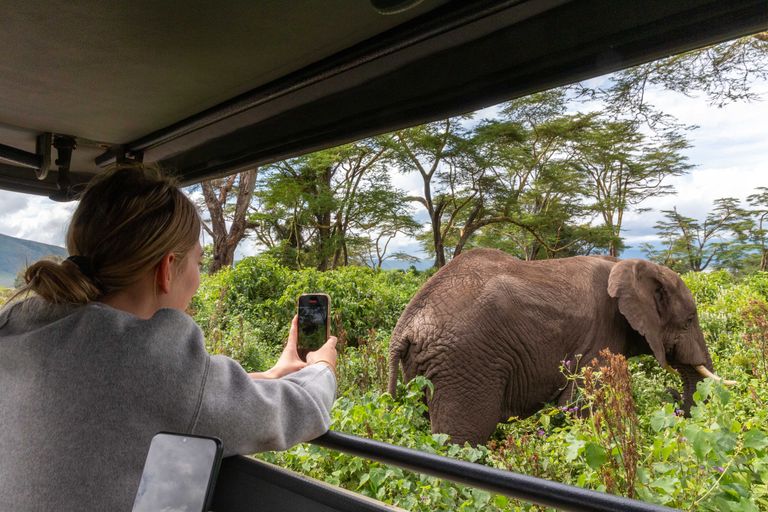 Tanzania Activiteiten Ngorongoro gamedrive olifant AZ c88526c7.jpg - Jambo Safari Club