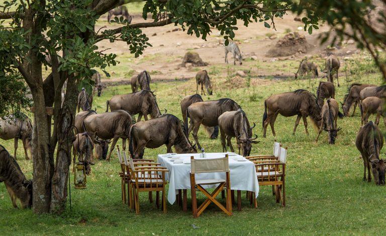 Tanzania Serengeti Serengeti Bushtops lunch gnoes WS.jpeg - Jambo Safari Club