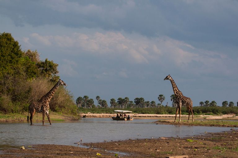 Tanzania Wildlife Zuid giraffen bootsafari SH 1170691069.jpg - Jambo Safari Club