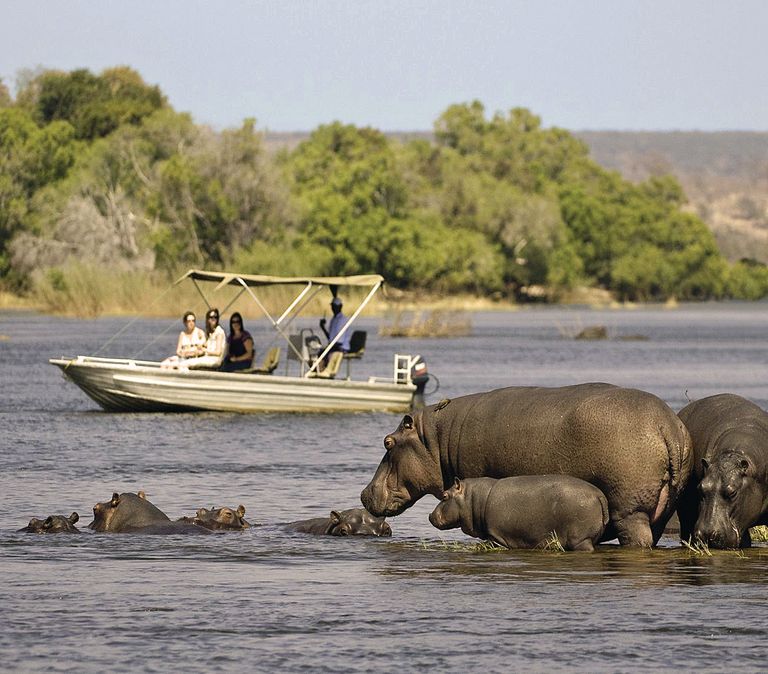 Tanzania Zuid Wildlife Activiteit nijlpaarden bootsafari.jpg - Jambo Safari Club
