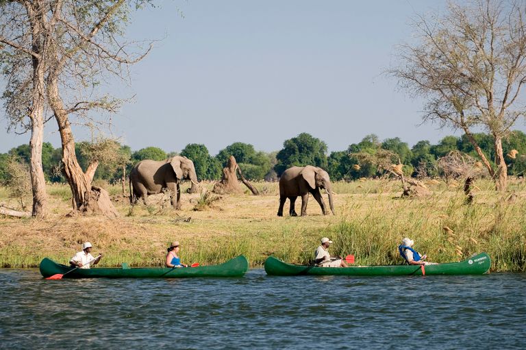 Zimbabwe Activiteiten Mana Pools kanosafari WS.jpg - Jambo Safari Club
