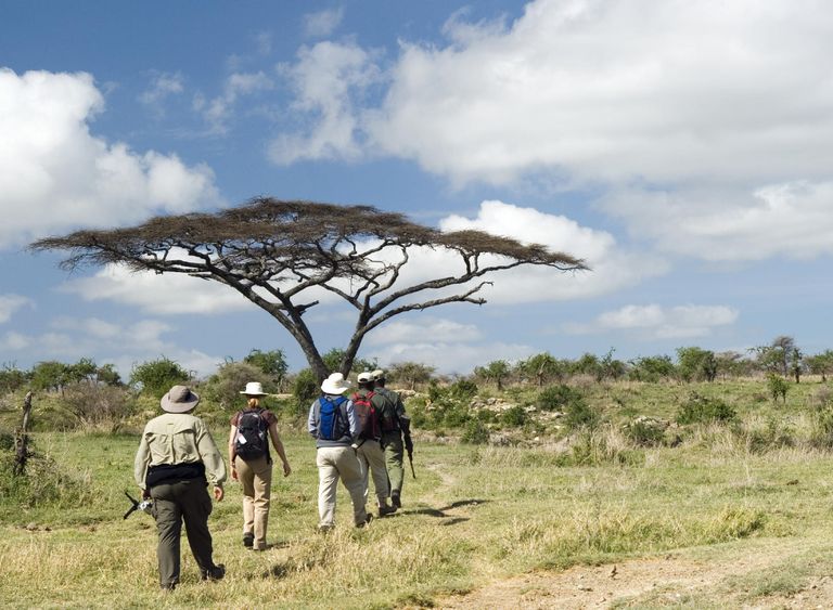 Zuid Afrika Thornybush Serondella Game Lodge Activiteit Wandelsafari WE.jpg - Jambo Safari Club