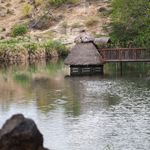 Kenia Landschap Tsavo West Mzima Springs JR.JPG - Jambo Safari Club