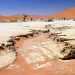 Namibie Landschap Deadvlei 0bed0247.jpg - Jambo Safari Club