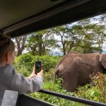 Tanzania Activiteiten Ngorongoro gamedrive olifant AZ c88526c7.jpg - Jambo Safari Club