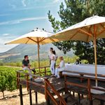Zuid Afrika Activiteiten Stellenbosch Wine tasting.jpg - Jambo Safari Club