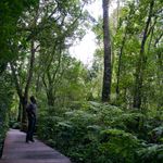 Zuid Afrika Activiteiten Tsitsikamma Wandelen.jpg - Jambo Safari Club