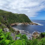 Zuid Afrika Landschap Tsitsikamma JR 5.jpg - Jambo Safari Club