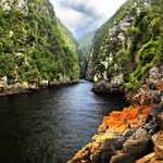 Zuid Afrika Landschap Tsitsikamma NP 3.jpg - Jambo Safari Club